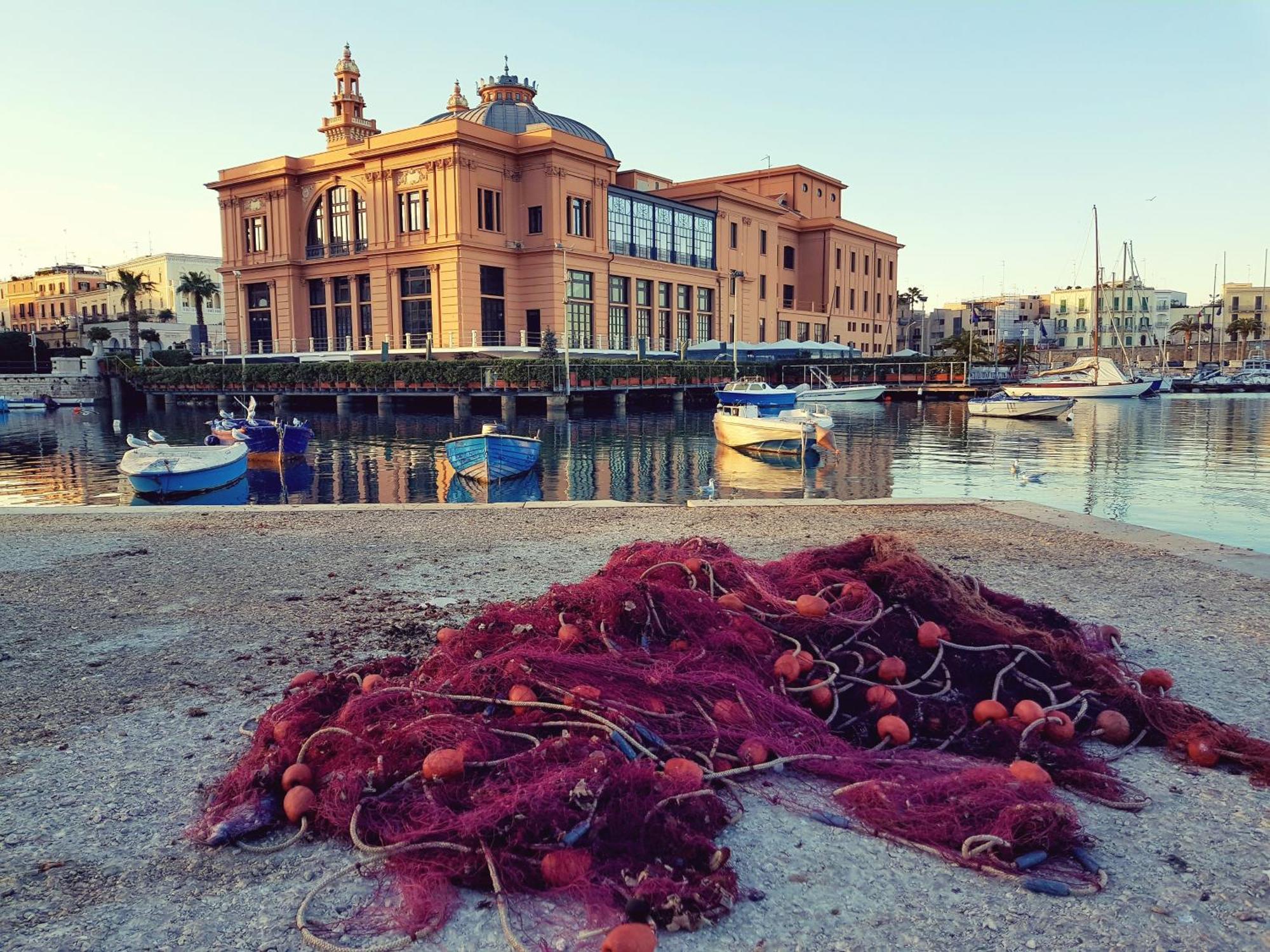 Mediterre Domus Casamassima